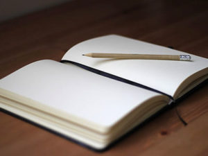 Mindful Journaling Workshop