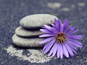 The Gift Of Self Care Workshop