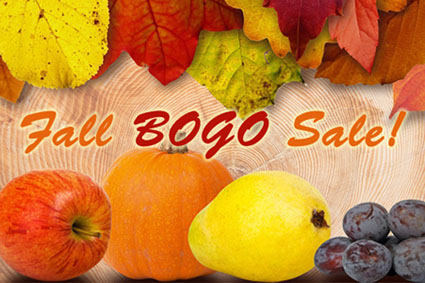 Fall BOGO Sale